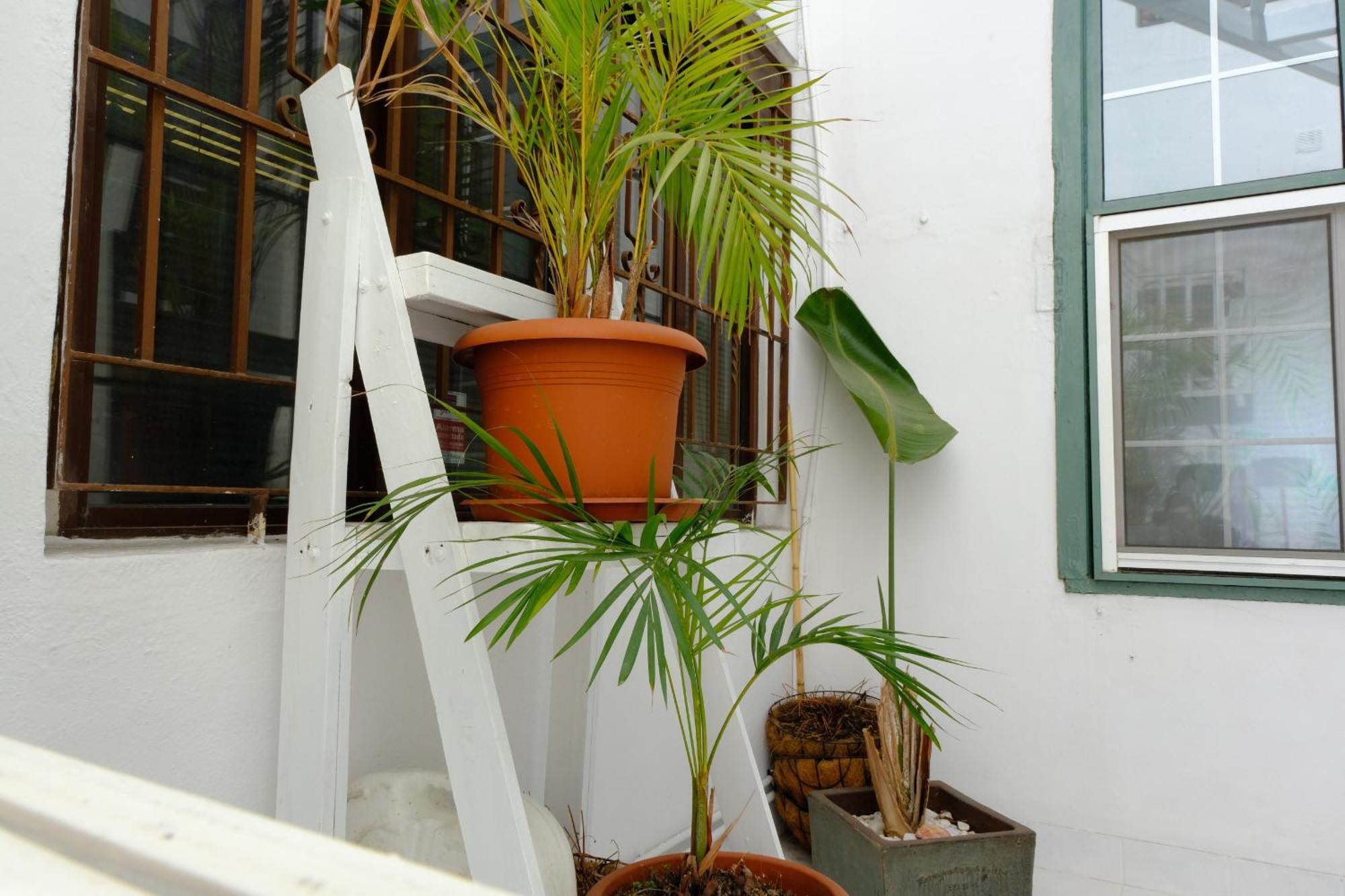 Rooftop Dreamhouse - 3Br With Seaviews Santa Cruz de la Palma  Exteriör bild